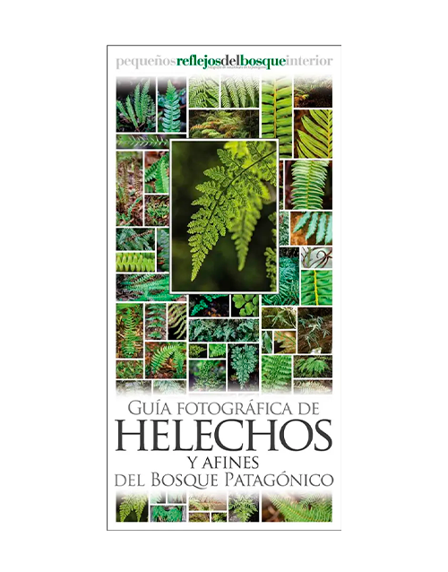 GUIA DESPLEGABLE – HELECHOS Y AFINES DEL BOSQUE PATAGONICO