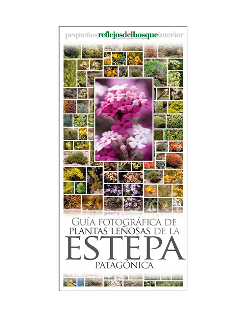 GUIA DESPLEGABLE – PLANTAS LEÑOSAS DE LA ESTEPA PATAGONICA