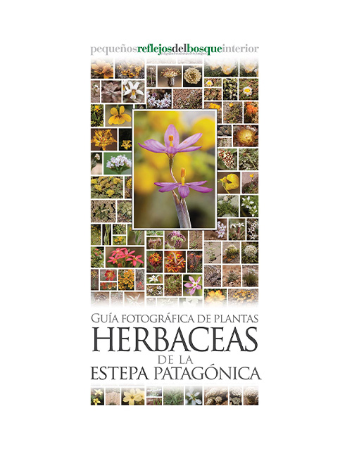 GUIA DESPLEGABLE – PLANTAS HERBACEAS DE LA ESTEPA PATAGONICA