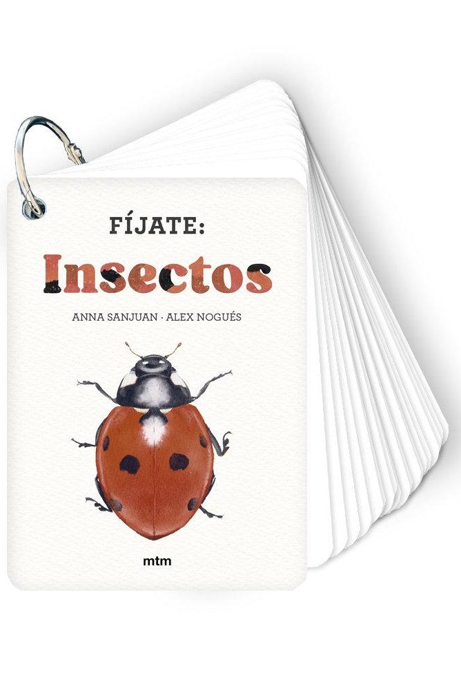 FIJATE: INSECTOS