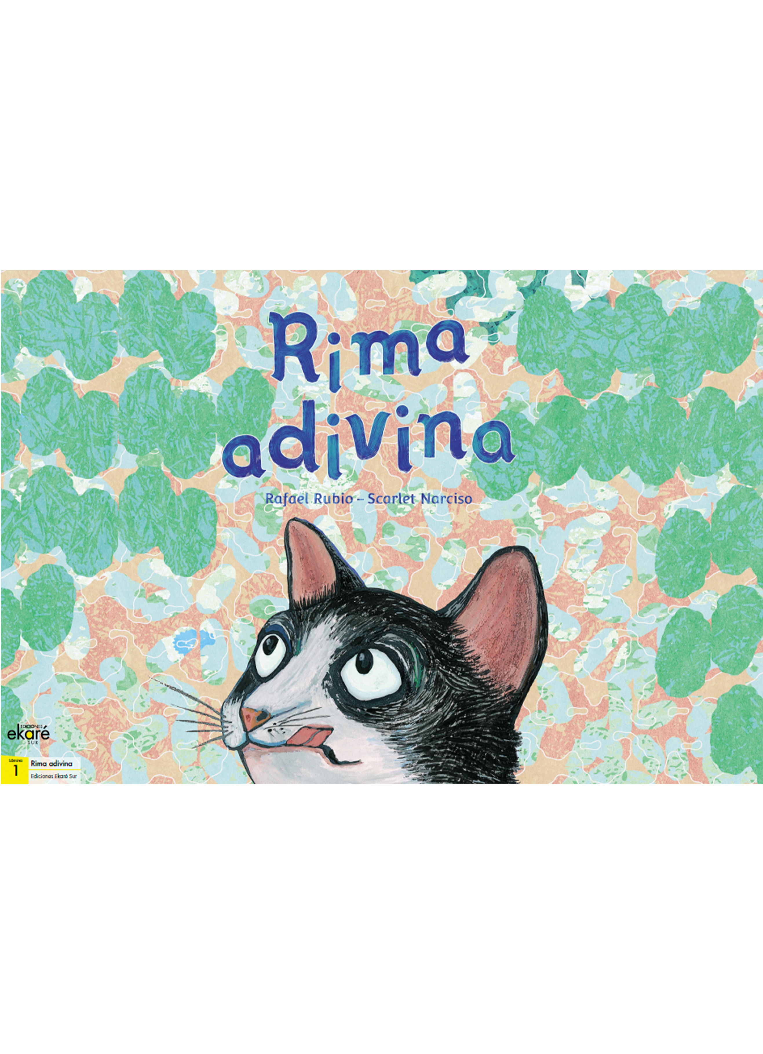 RIMA ADIVINA (LAMINAS KAMISHIBAI)