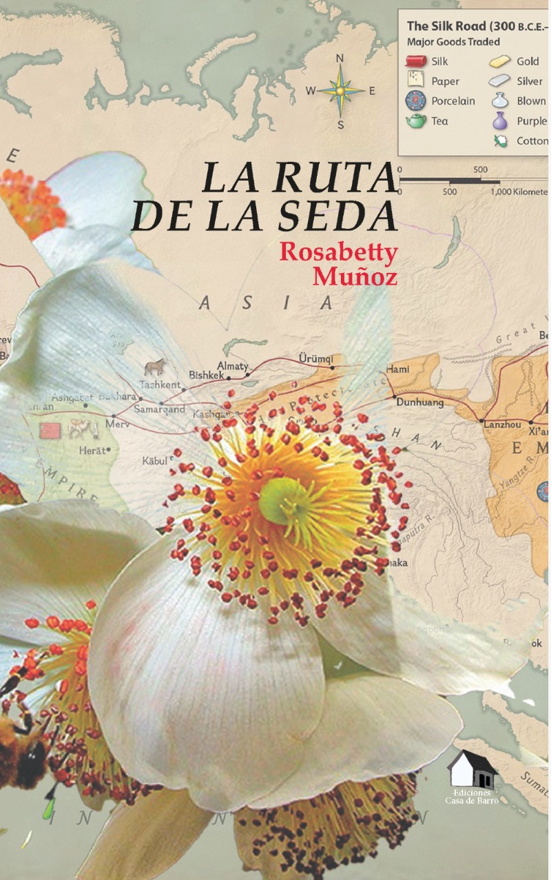 LA RUTA DE LA SEDA