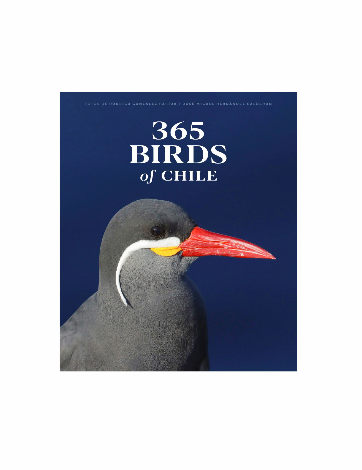 365 BIRDS OF CHILE
