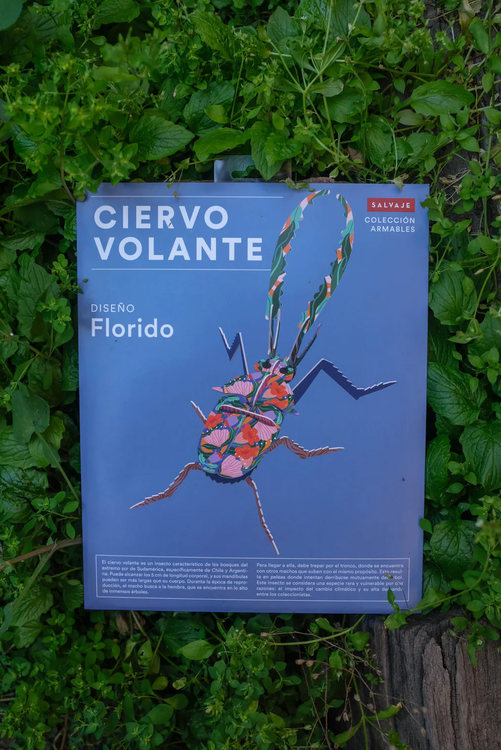 ARMABLE CIERVO VOLANTE – DISEÑO FLORIDO
