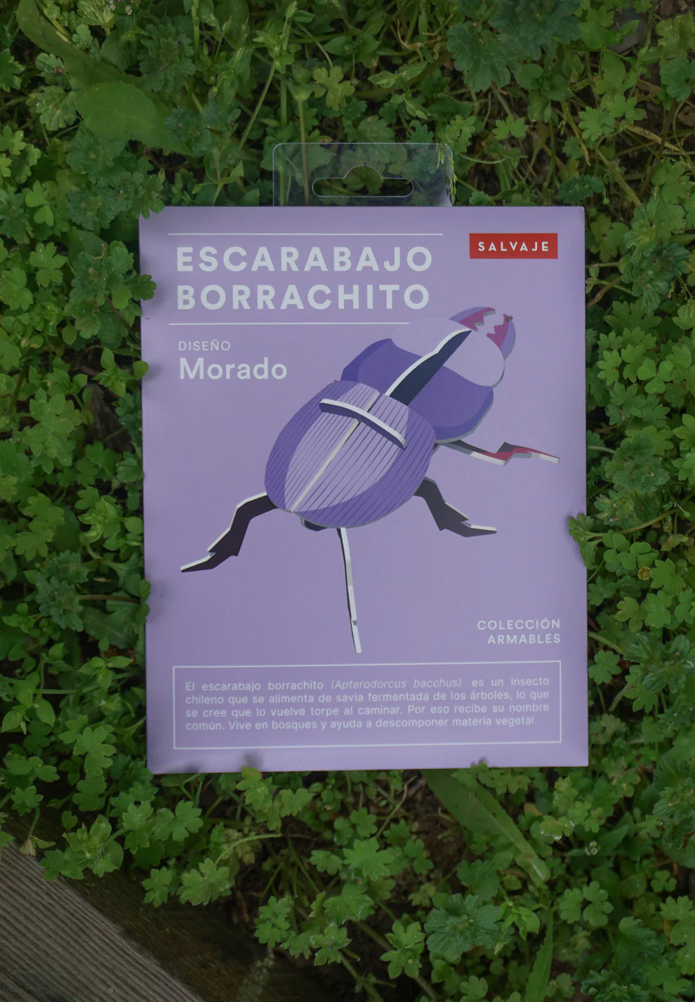 ARMABLE ESCARABAJO BORRACHITO – DISEÑO MORADO