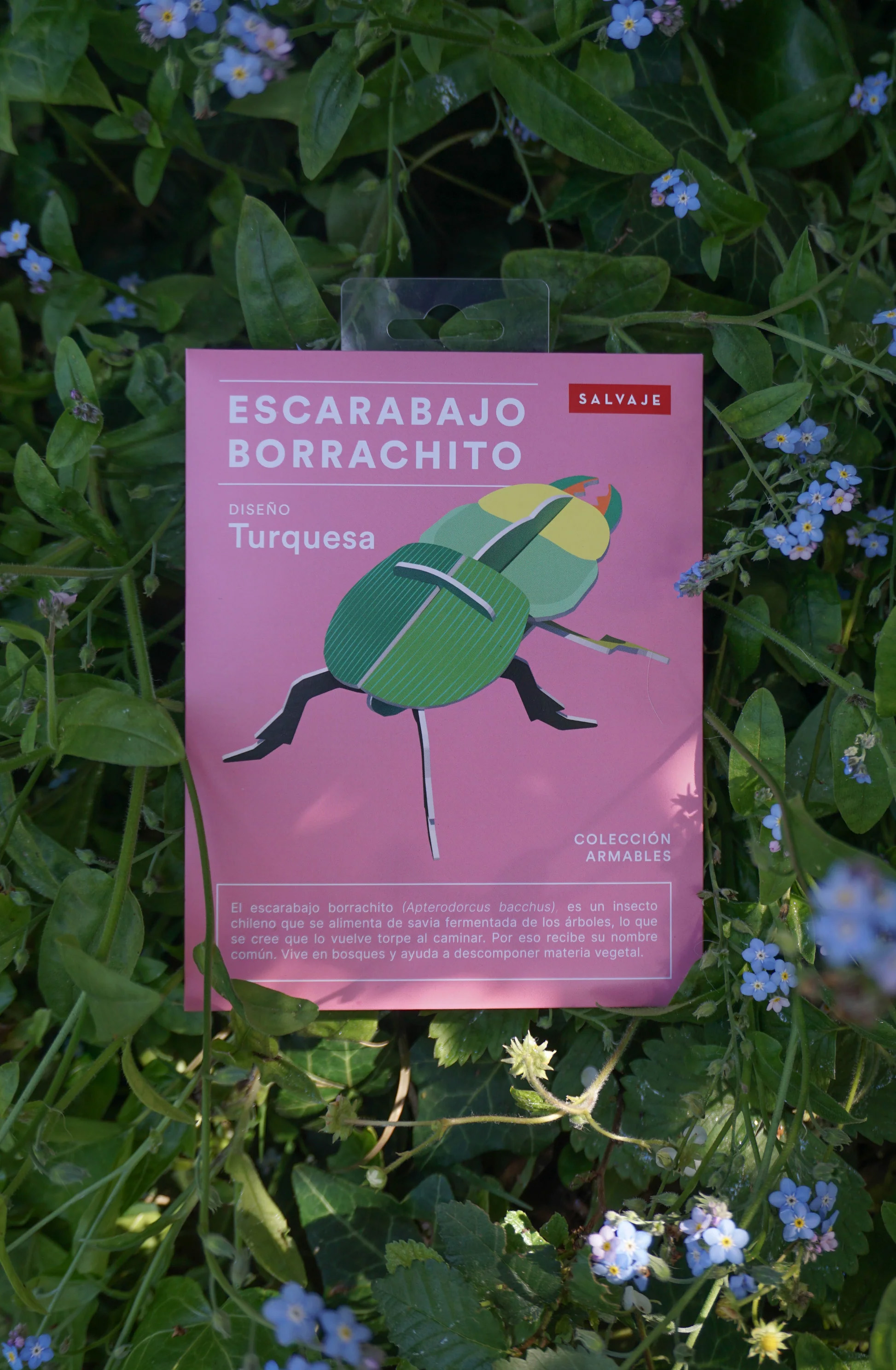 ARMABLE ESCARABAJO BORRACHITO – DISEÑO TURQUESA