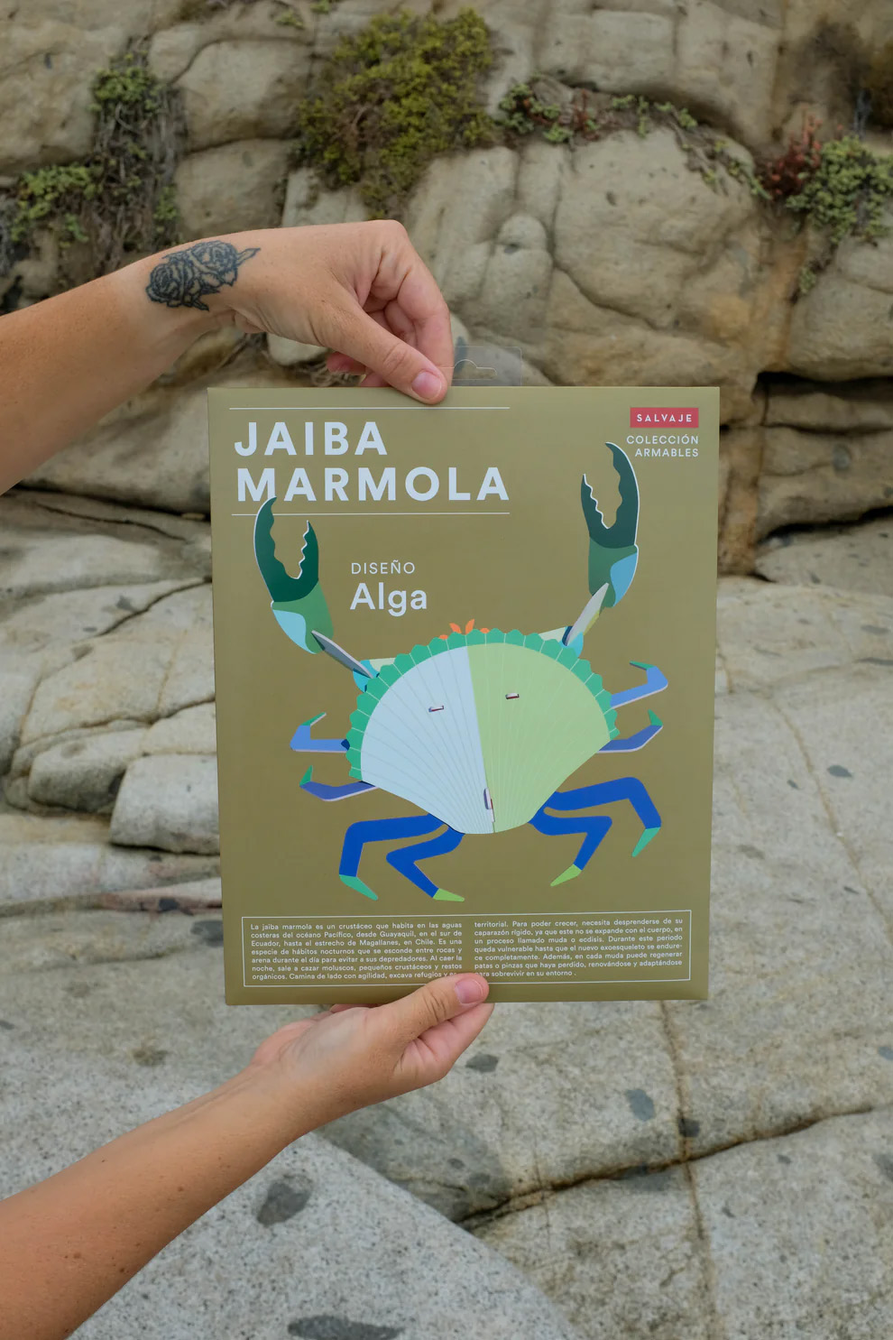 ARMABLE JAIVA MARMOLA – DISEÑO ALGA