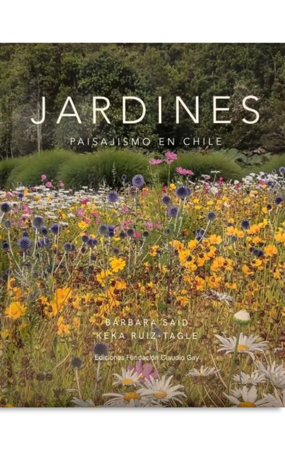 JARDINES PAISAJISMO EN CHILE