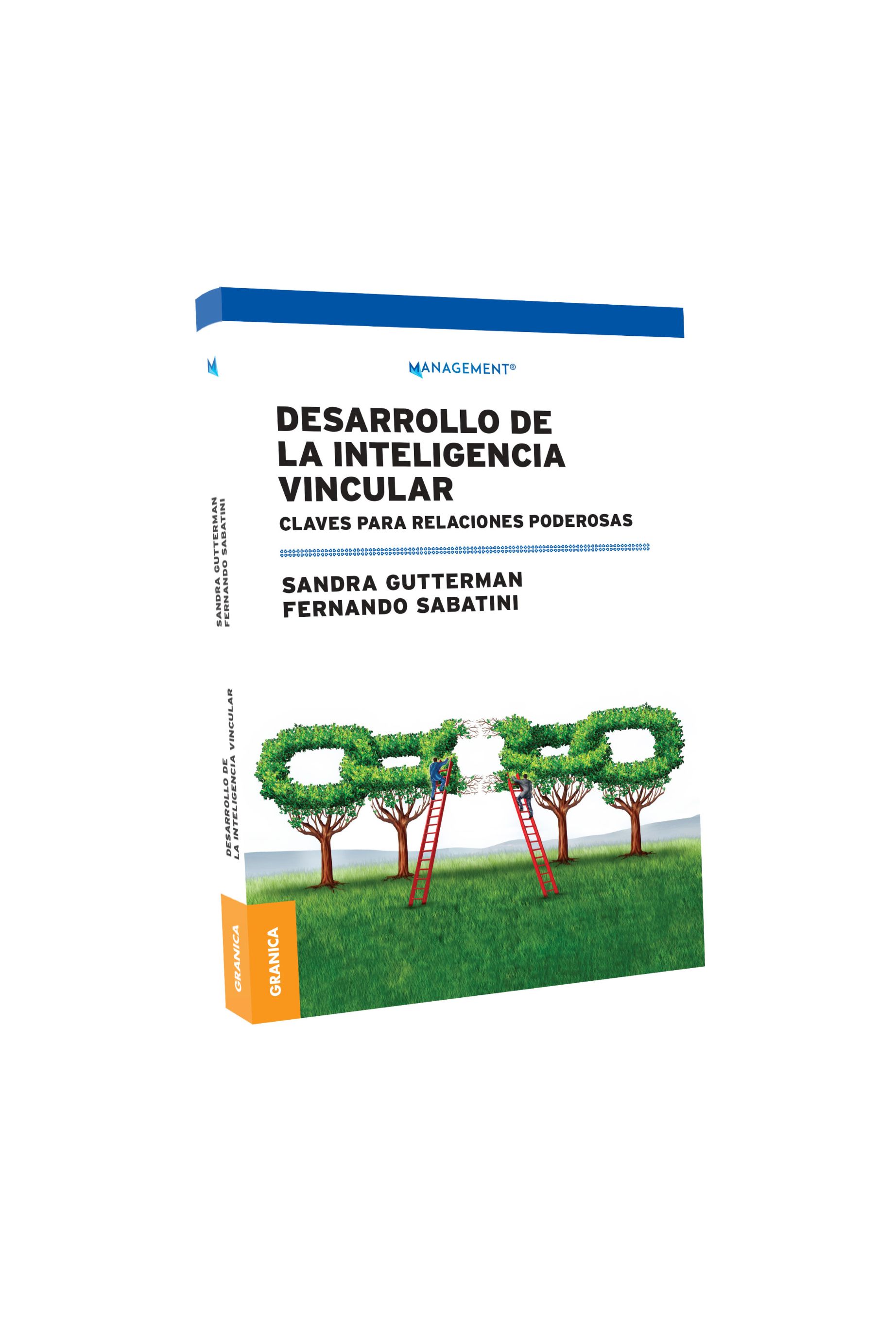 DESARROLLO DE LA INTELIGENCIA VINCULAR