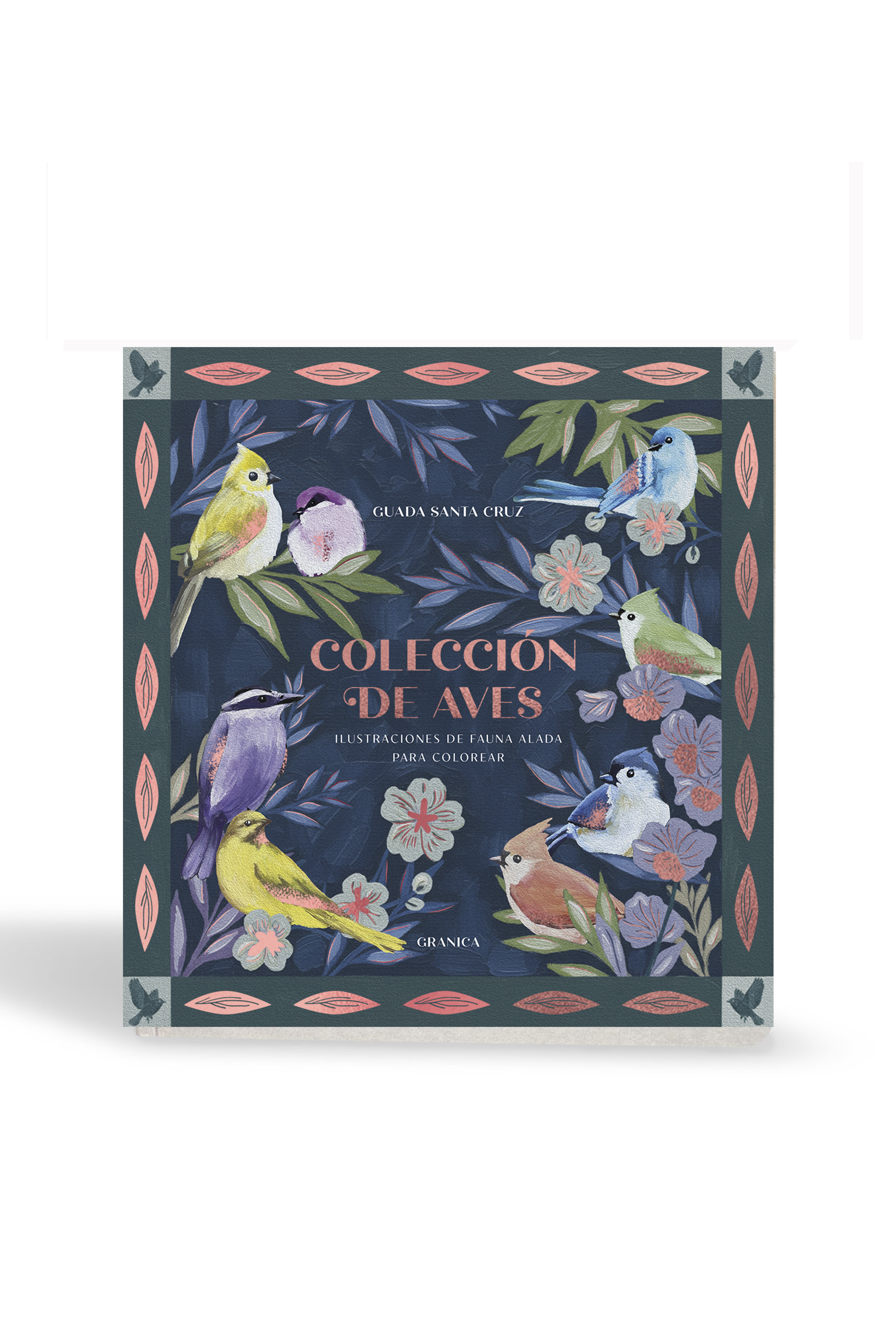 COLECCION DE AVES PARA COLOREAR