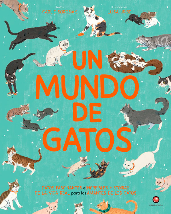 UN MUNDO DE GATOS